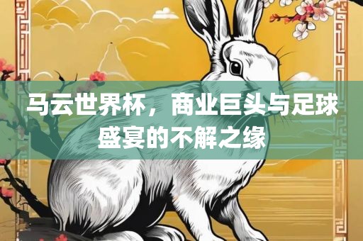 马云世界杯，商业巨头与足球盛宴的不解之缘