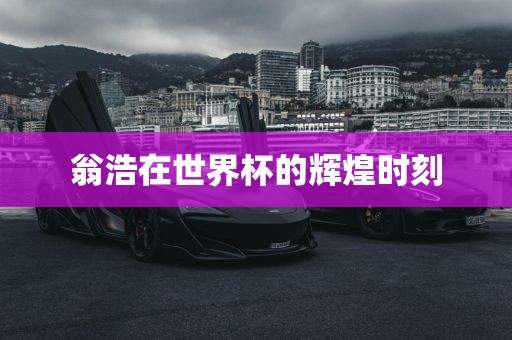 翁浩在世界杯的辉煌时刻