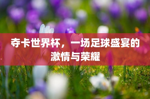 夺卡世界杯，一场足球盛宴的激情与荣耀