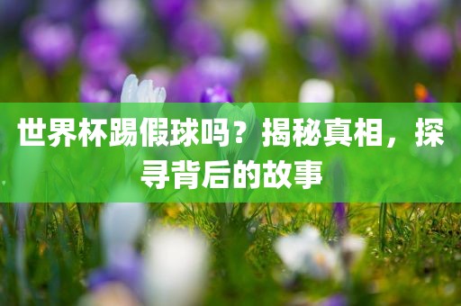 世界杯踢假球吗？揭秘真相，探寻背后的故事