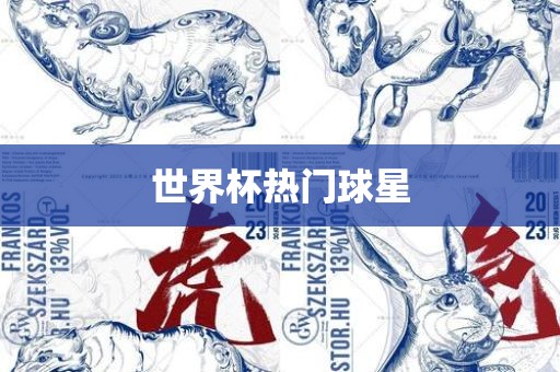 世界杯热门球星