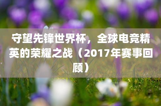 守望先锋世界杯，全球电竞精英的荣耀之战（2017年赛事回顾）