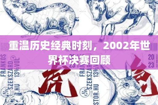 洛阳市法福文化传播有限公司重温历史经典时刻，2002年世界杯决赛回顾