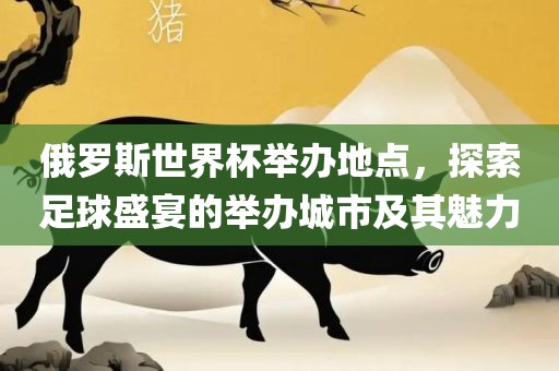 俄罗斯世界杯举办地点，探索足球盛宴的举办城市及其魅力