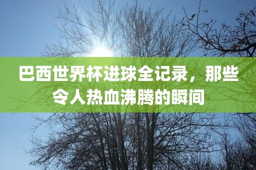 巴西世界杯进球全记录，那些令人热血沸腾的瞬间
