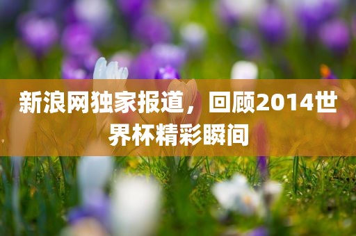 新浪网独家报道，回顾2014世界杯精彩瞬间