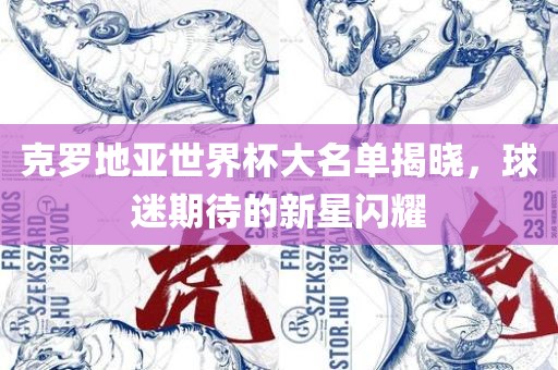 克罗地亚世界杯大名单揭晓，球迷期待的新星闪耀