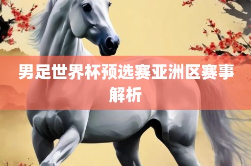 男足世界杯预选赛亚洲区赛事解析