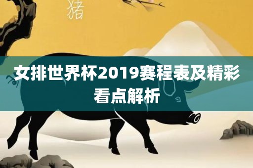 女排世界杯2019赛程表及精彩看点解析