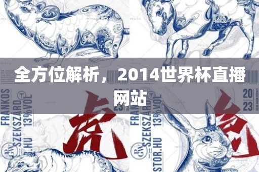 全方位解析，2014世界杯直播网站