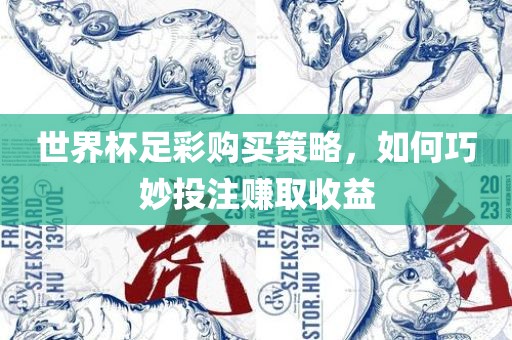 世界杯足彩购买策略，如何巧妙投注赚取收益