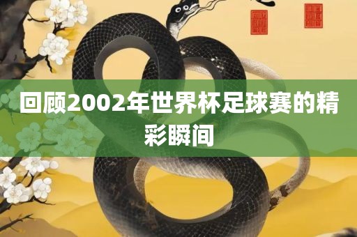 回顾2002年世界杯足球赛的精彩瞬间