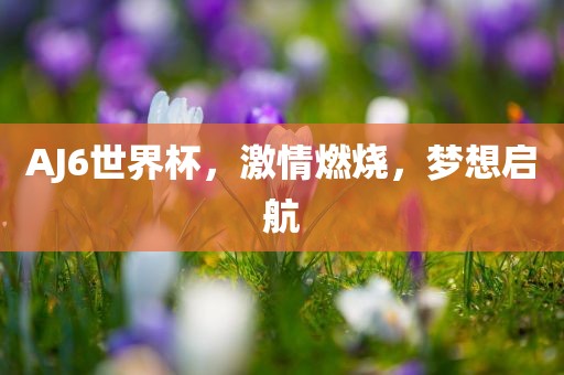 AJ6世界杯，激情燃烧，梦想启航