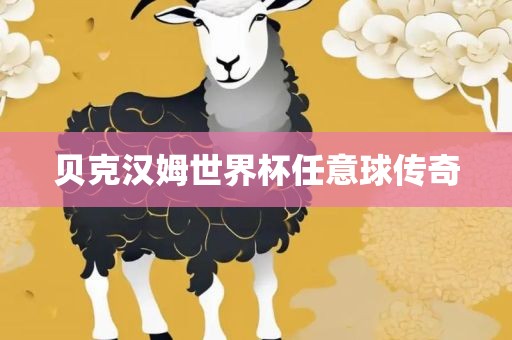 贝克汉姆世界杯任意球传奇