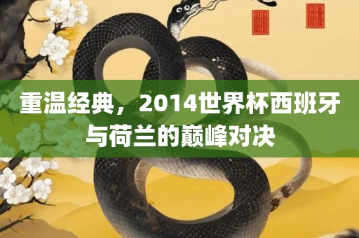 重温经典，2014世界杯西班牙与荷兰的巅峰对决