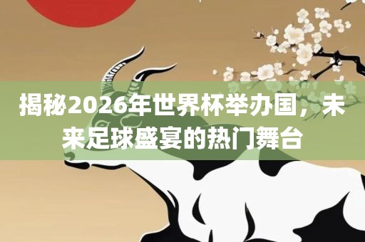 揭秘2026年世界杯举办国，未来足球盛宴的热门舞台