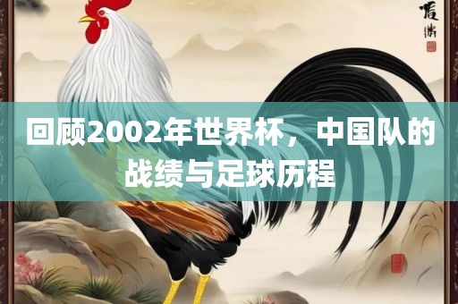 回顾2002年世界杯，中国队的战绩与足球历程