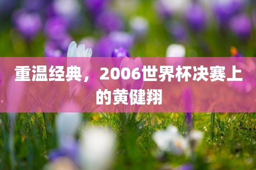 重温经典，2006世界杯决赛上的黄健翔