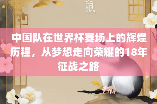 中国队在世界杯赛场上的辉煌历程，从梦想走向荣耀的18年征战之路