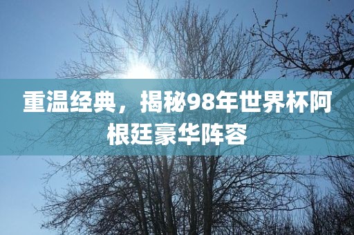 重温经典，揭秘98年世界杯阿根廷豪华阵容