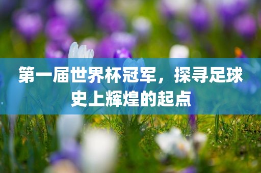 第一届世界杯冠军，探寻足球史上辉煌的起点