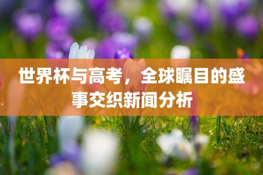 世界杯与高考，全球瞩目的盛事交织新闻分析