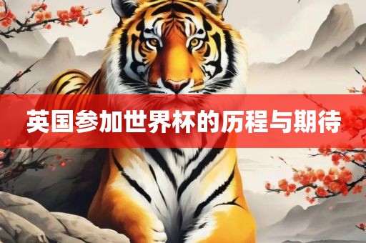 英国参加世界杯的历程与期待