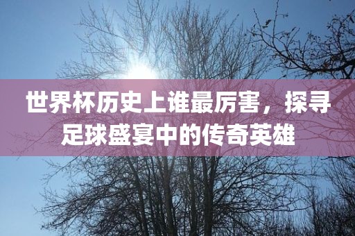 世界杯历史上谁最厉害，探寻足球盛宴中的传奇英雄