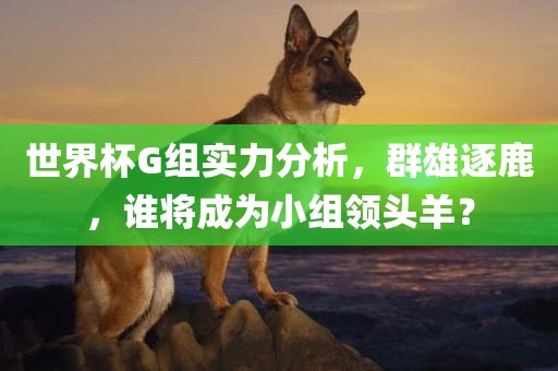 世界杯G组实力分析，群雄逐鹿，谁将成为小组领头羊？