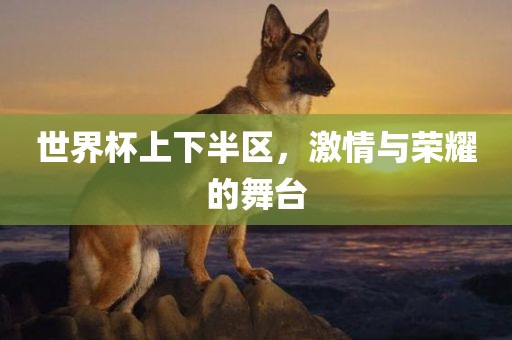 世界杯上下半区，激情与荣耀的舞台