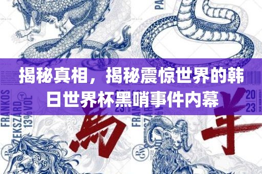 揭秘真相，揭秘震惊世界的韩日世界杯黑哨事件内幕