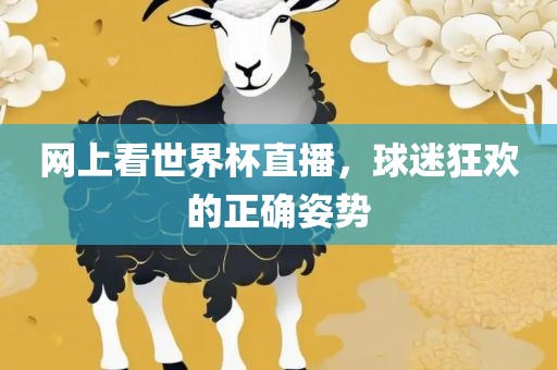 网上看世界杯直播，球迷狂欢的正确姿势