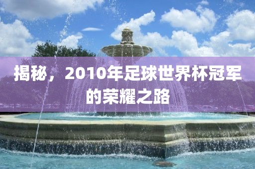 揭秘，2010年足球世界杯冠军的荣耀之路