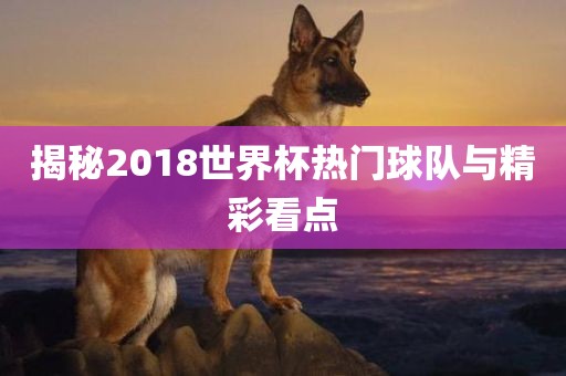 揭秘2018世界杯热门球队与精彩看点