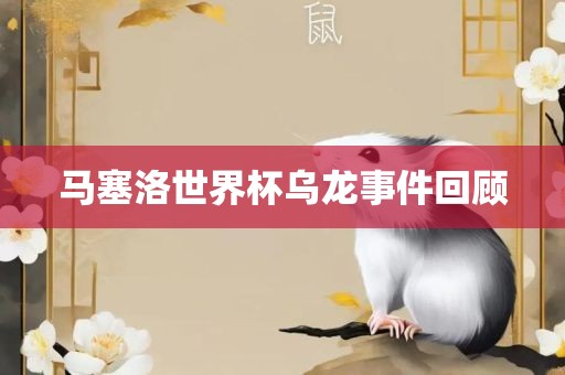 马塞洛世界杯乌龙事件回顾