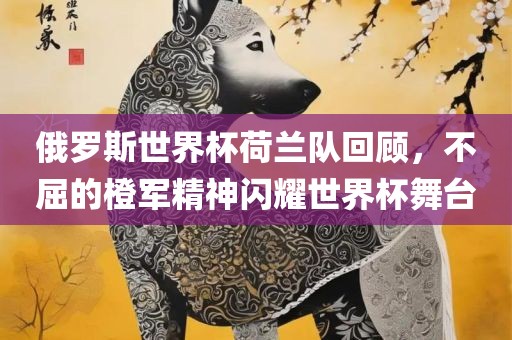 俄罗斯世界杯荷兰队回顾，不屈的橙军精神闪耀世界杯舞台