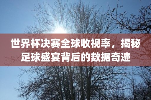 世界杯决赛全球收视率，揭秘足球盛宴背后的数据奇迹