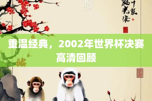 重温经典，2002年世界杯决赛高清回顾