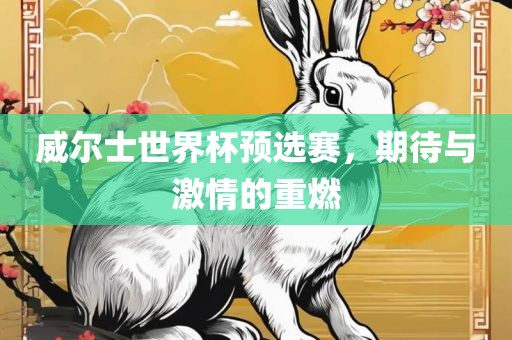 威尔士世界杯预选赛，期待与激情的重燃