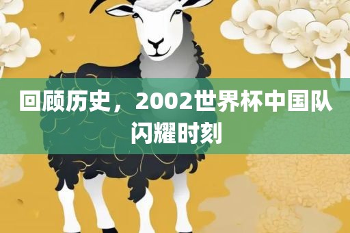 回顾历史，2002世界杯中国队闪耀时刻