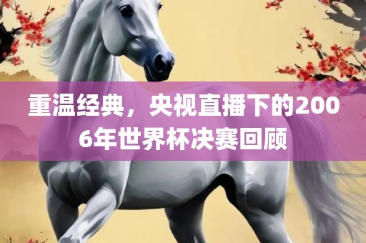 重温经典，央视直播下的2006年世界杯决赛回顾