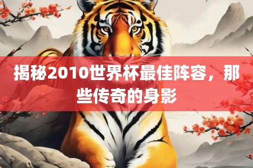 揭秘2010世界杯最佳阵容，那些传奇的身影