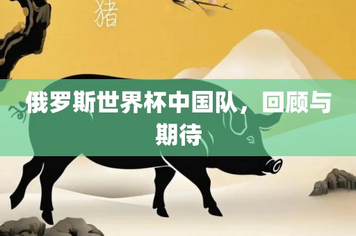 俄罗斯世界杯中国队，回顾与期待