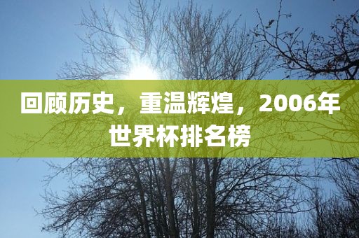 回顾历史，重温辉煌，2006年世界杯排名榜
