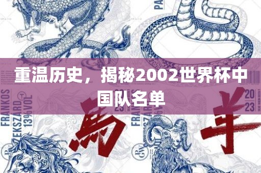 重温历史，揭秘2002世界杯中国队名单