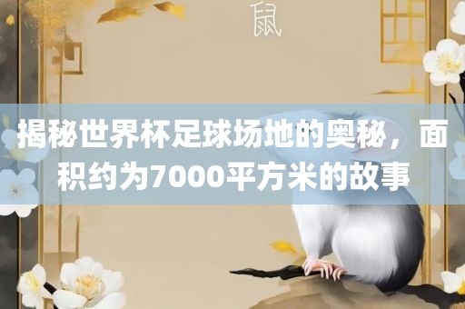 揭秘世界杯足球场地的奥秘，面积约为7000平方米的故事