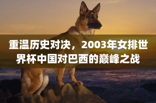 重温历史对决，2003年女排世界杯中国对巴西的巅峰之战