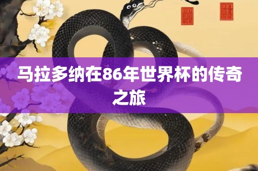 马拉多纳在86年世界杯的传奇之旅