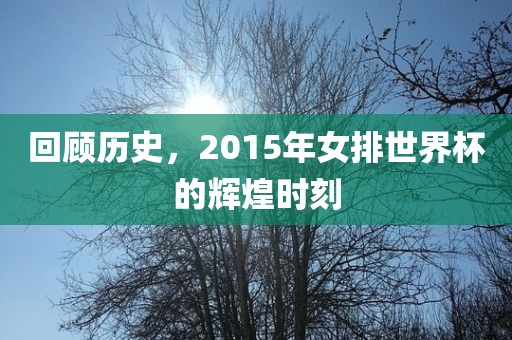 回顾历史，2015年女排世界杯的辉煌时刻