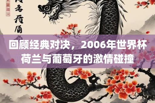 回顾经典对决，2006年世界杯荷兰与葡萄牙的激情碰撞